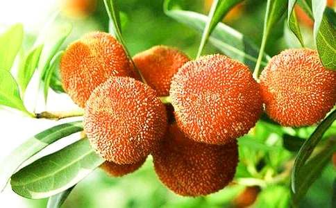 ���Ұ��������÷����ѧ��˼