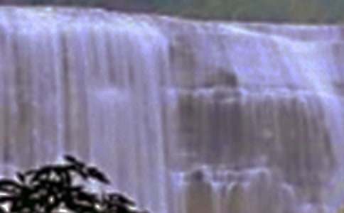 ���������ٲ�����ѧ�ĵ�