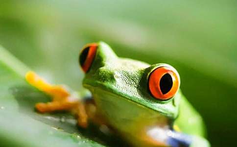 �����ܿ�����˵�θ�