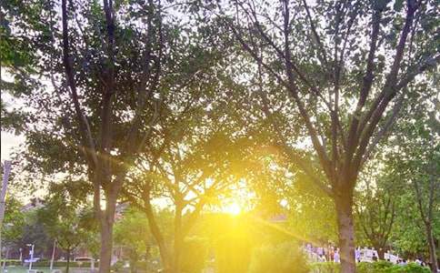 ���������簲����130��