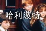 (通用)《哈利波特》读后感