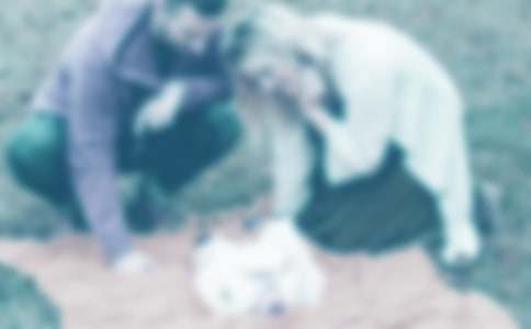 �ְ������Ұ���ۺ��(����)