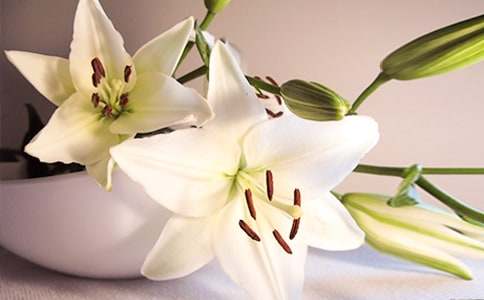 �������ϵİٺϻ�������У���ѡ10ƪ��