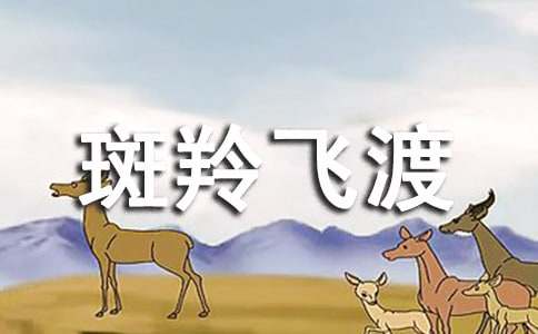 ����ɶɶ����