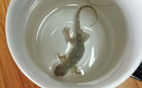 ��С�ڻ���β�͡���ѧ��˼(��ѡ15ƪ)