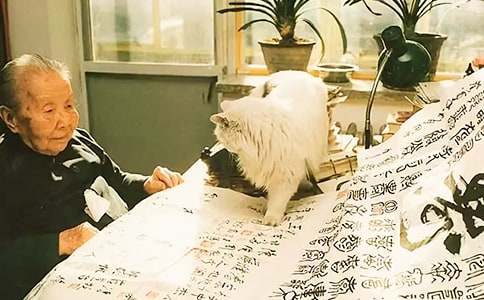 ������Ʒ�����