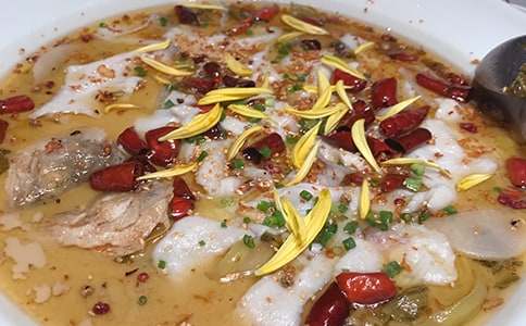 �Ƶ���������ƶ�(���15ƪ)