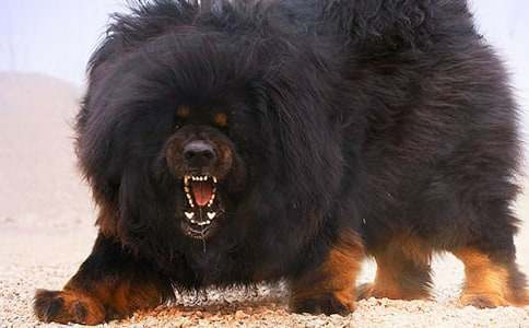 ҡ������ۺ��