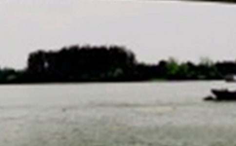 �ۡ������ߺš��и�(15ƪ)