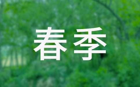 �������ȶӹ����ܽᾫѡ14ƪ