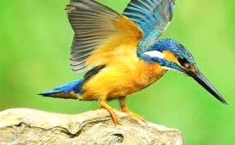 �����񡷽�ѧ��˼��ʵ��15ƪ��