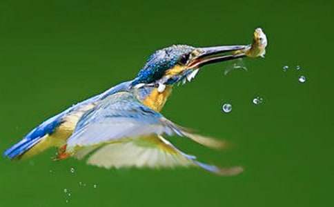 �����񡷽�ѧ��˼8ƪ