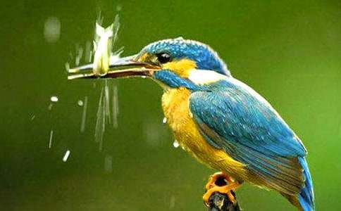 ����˵�θ�(15ƪ)