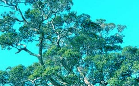 �����Ĺ��½�ѧ��˼