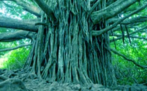 ��С�ݺʹ�������ѧ��˼