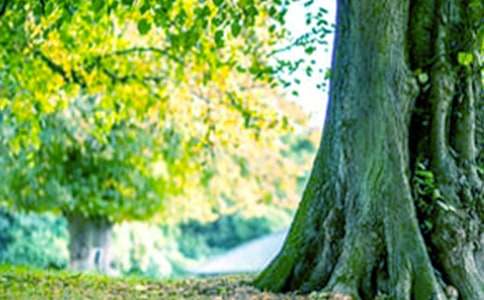 �����Ĺ���������ѧ��˼