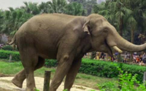 ������Ķ��䡷��ѧ��˼����