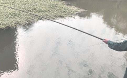 钓鱼的启示读后感精品【15篇】