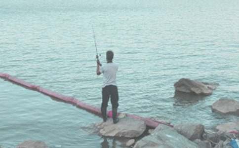 ���������ʾ�������(����15ƪ)