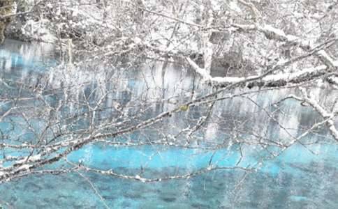 �����������������ܽ�