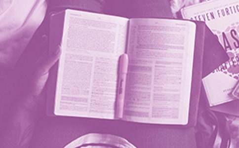 ��һ����Ƕ����