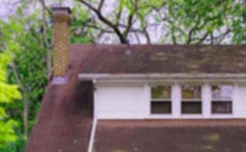 ������Ի˵�θ壺��ɫ�ķ���