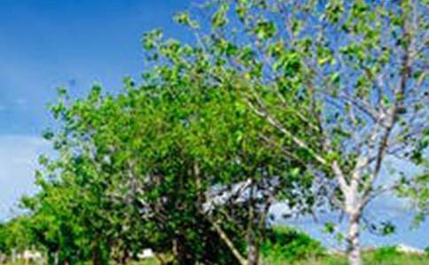 ̩ɽ��ʤ�羰�����δʣ�ͨ��12ƪ��