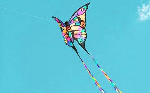 放风筝教学反思