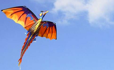 ���ݽ�ѧ��˼15ƪ