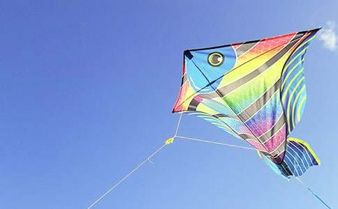 ���ݽ�ѧ��˼14ƪ