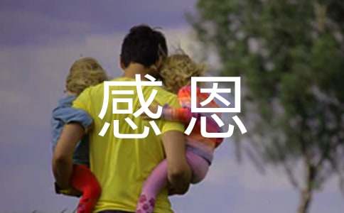 �ж������(��ѡ15ƪ)