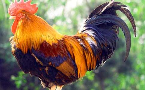 �������Ĵ󹫼�����ѧ��˼