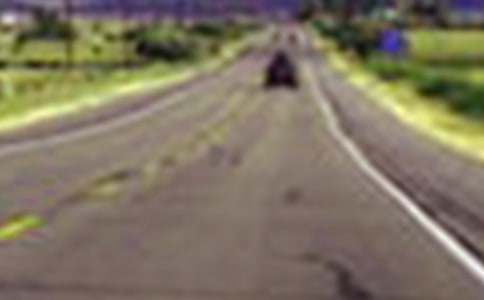 ��·�������չ����ܽᣨ��ѡ29ƪ��