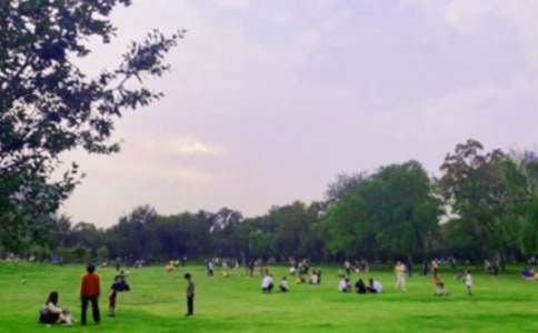 ٪�޼͹�԰�ۺ��8ƪ