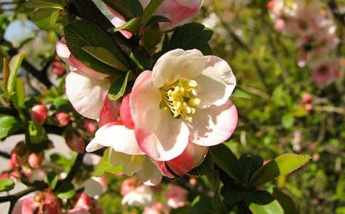 ���ȡ����㺣�Ĺۺ��