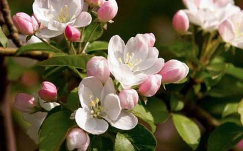 �����㺣�ġ��ۺ��(����15ƪ)