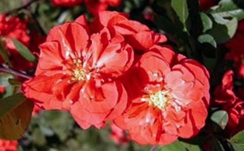 �����㺣�ġ��ۺ�о���18ƪ