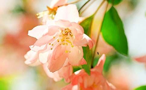 �����㺣�ġ��ۺ��(15ƪ)