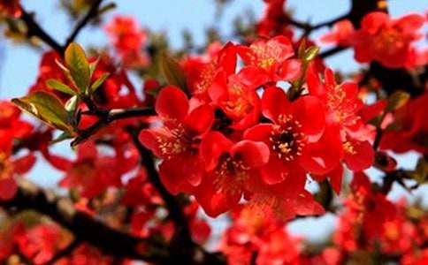 ���㺣�ĵĹۺ��15ƪ