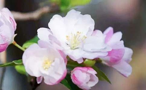 �����㺣�ġ��ۺ�С����š�