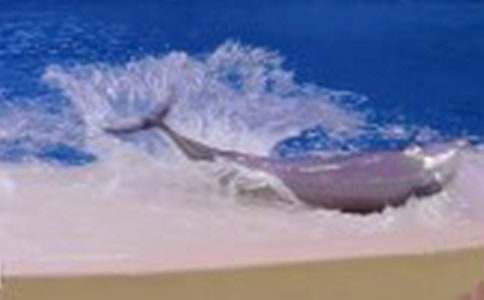 ����ɫ�ĺ��ൺ������м���15ƪ