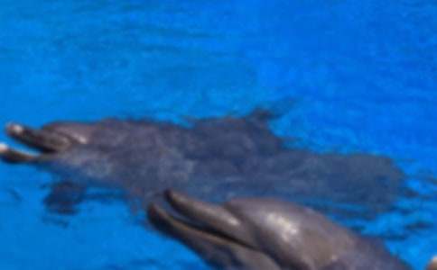 ����ɫ�ĺ��ൺ�������(15ƪ)