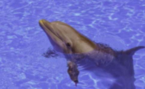 ��ɫ�ĺ��ൺ�����(15ƪ)