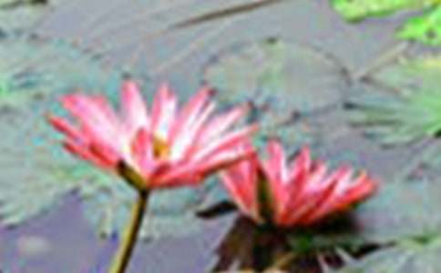 ���ġ��ɻ�����ѧ��˼