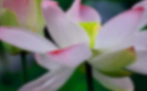 ���ɻ���˵�θ�(15ƪ)