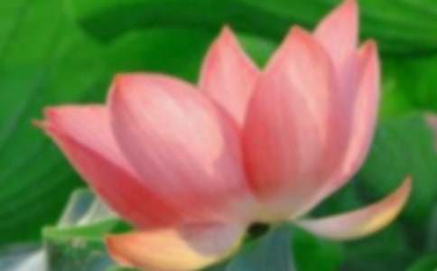 �ɻ��������7ƪ