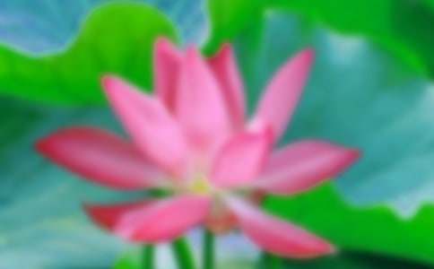 �ɻ��������9ƪ