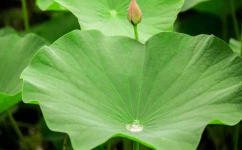 ����ҶԲԲ����ѧ��˼��ͨ��15ƪ��