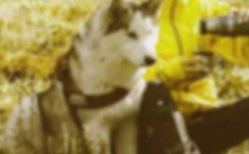 ������г������