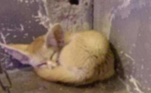 �˲���ĺ���ְֶ����(15ƪ)